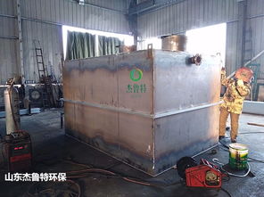 福州食品廠一體化氣浮機(jī)裝置 品質(zhì)鑄就信賴，凈化成就未來(lái)